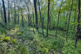 19807 Balentine Rd, Caledonia, MN 55921 - Photo 77