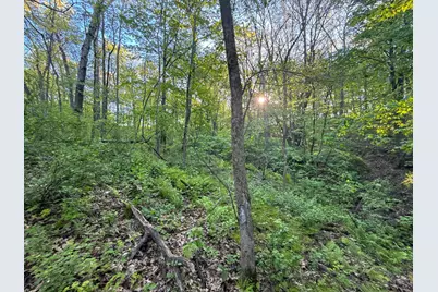 19807 Balentine Road, Caledonia, MN 55921 - Photo 79
