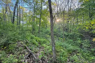 19807 Balentine Rd, Caledonia, MN 55921 - Photo 79