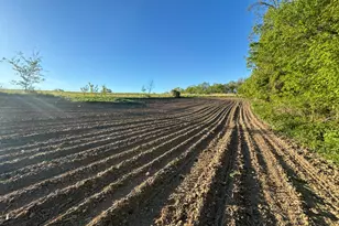19807 Balentine Rd, Caledonia, MN 55921 - Photo 83