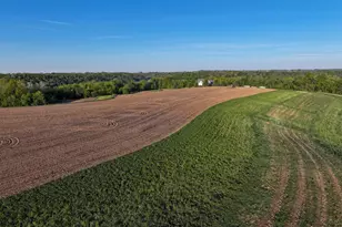 19807 Balentine Rd, Caledonia, MN 55921 - Photo 69