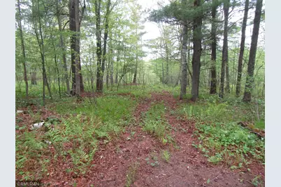 15442 Lofty Pines Road, Pine City, MN 55063 - Photo 3