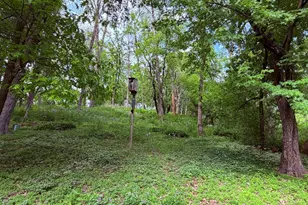 850 Winthrop St S, Saint Paul, MN 55119 - Photo 43