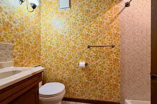 850 Winthrop St S, Saint Paul, MN 55119 - Photo 35