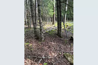 12433 Burma Road, Kabetogama, MN 56669 - Photo 35