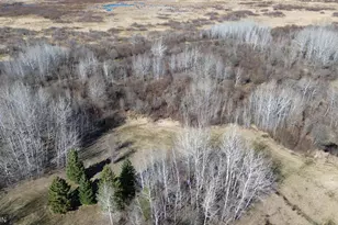 41254 155th Pl, McGregor, MN 55760 - Photo 37