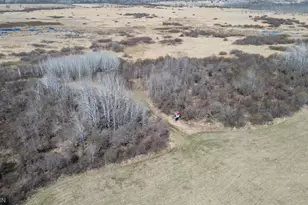 41254 155th Pl, McGregor, MN 55760 - Photo 53