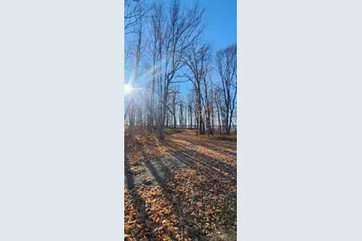 Xxxx Diamond Trail NW, Walker, MN 56484 - Photo 5