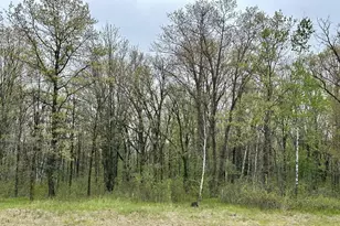 Tbd Jewel Rd, Little Falls, MN 56345 - Photo 1