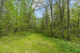 27965 County 7, Park Rapids, MN 56470 - Photo 47