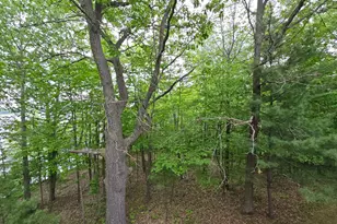 33660 368th Pl, Aitkin, MN 56431 - Photo 55