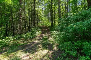 45940 295th St, Deerwood, MN 56444 - Photo 71