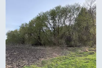 3553 250th Street, Dawson, MN 56232 - Photo 33