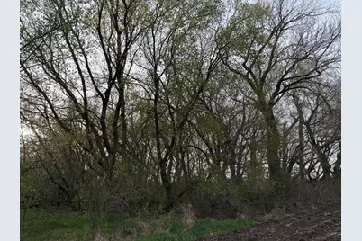 3544 250th Street, Dawson, MN 56232 - Photo 33