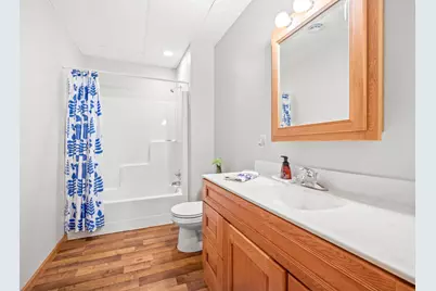 2920 97th Court, Plato, MN 55370 - Photo 19