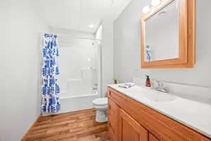 2920 97th Ct, Plato, MN 55370 - Photo 19