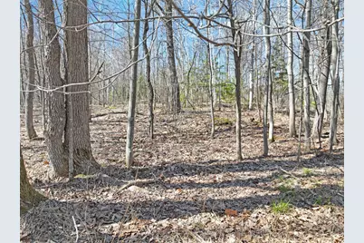 2 450th Street, Guthrie Twp, MN 56461 - Photo 7