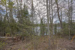 1169 Wabedo Pass Rd NE, Longville, MN 56655 - Photo 41