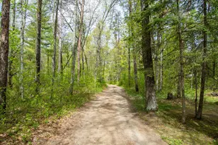 13614 Piney Ln, Merrifield, MN 56465 - Photo 65