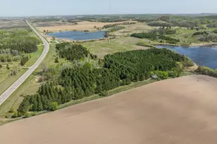 36784 US Hwy 59, Erhard, MN 56534 - Photo 31