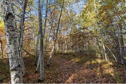 Tbd Liedlwood Ln, Pequot Lakes, MN 56472 - Photo 23