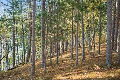 Tbd Liedlwood Ln, Pequot Lakes, MN 56472 - Photo 41