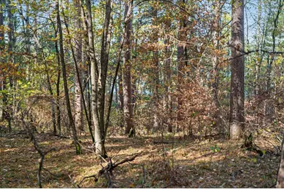 Tbd Liedlwood Ln, Pequot Lakes, MN 56472 - Photo 31