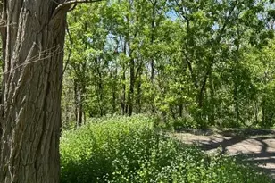 Xxx S Adams St, Saint Croix Falls, WI 54024 - Photo 1