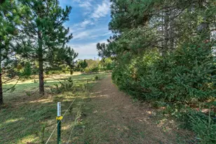 22939 510th Ave, Henning, MN 56551 - Photo 87