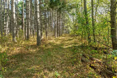 22939 510th Avenue, Henning, MN 56551 - Photo 93