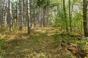 22939 510th Ave, Henning, MN 56551 - Photo 93
