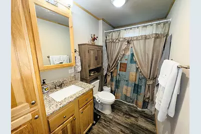 49354 Center Point Road, Bigfork, MN 56628 - Photo 65