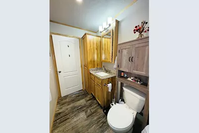 49354 Center Point Road, Bigfork, MN 56628 - Photo 61