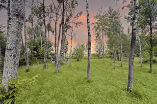 49354 Center Point Rd, Bigfork, MN 56628 - Photo 95