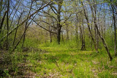 Tbd 125th Street, Dalton, MN 56324 - Photo 39