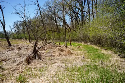 Tbd 125th Street, Dalton, MN 56324 - Photo 37