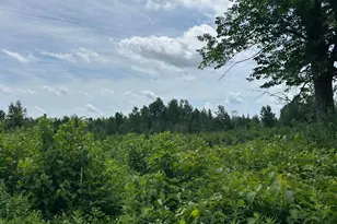 Tbd1 Duncan Rd, Sandstone, MN 55072 - Photo 1