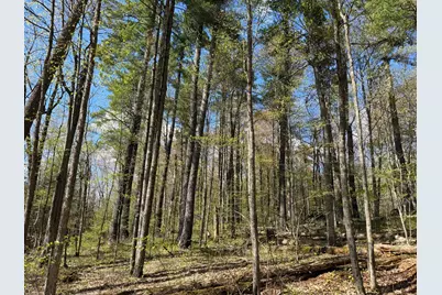 Tbd Leonard Road, Birchwood, WI 54817 - Photo 17