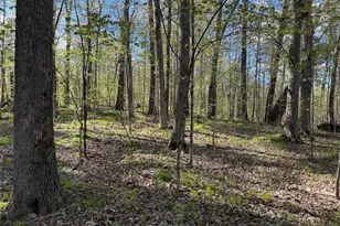 W2373 Blackhawk Rd, Sarona, WI 54870 - Photo 1