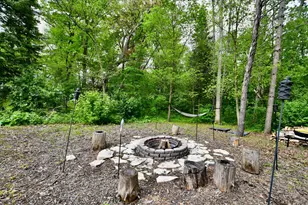 30300 County 1, Spring Valley, MN 55975 - Photo 43