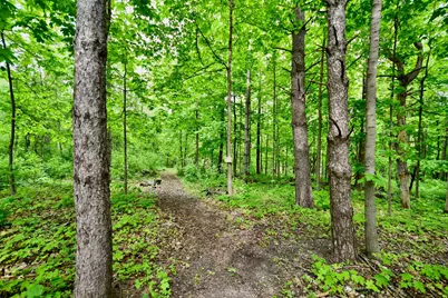30300 County 1, Spring Valley, MN 55975 - Photo 39