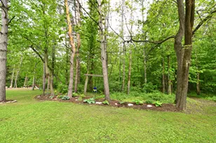 30300 County 1, Spring Valley, MN 55975 - Photo 37