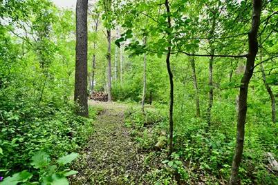 30300 County 1, Spring Valley, MN 55975 - Photo 41