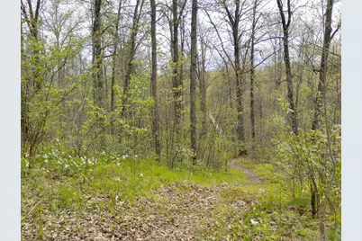 2263 280th Avenue, Brook Park, MN 55007 - Photo 55