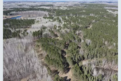 Tbd (164.21Ac) Maple Grove Road, Cloquet, MN 55720 - Photo 11