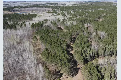 Tbd (280Ac) Maple Grove Road, Cloquet, MN 55720 - Photo 1