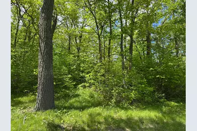 0 Captive Lake Rd, Kathio Township, MN 56450 - Photo 9