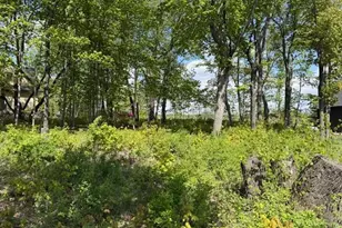 Tbd Lot 13 Blk 2 Pilgrim Point Shroes, Alexandria, MN 56308 - Photo 1