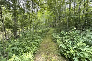 3574 State 87 NW, Backus, MN 56435 - Photo 19