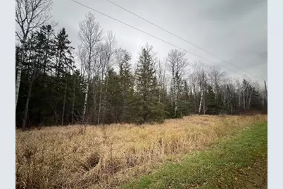 Tbd Townline Rd, Hibbing, MN 55746 - Photo 5